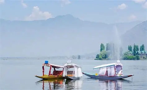 Dal Lake & Shikara Rides